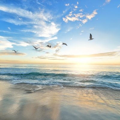 beach-1852945_1920